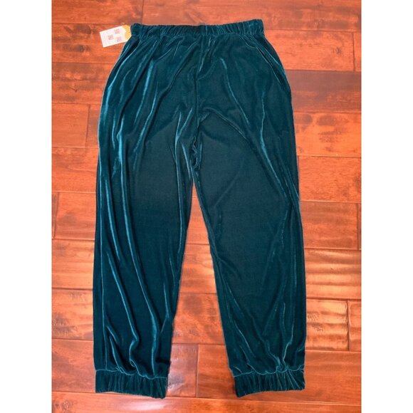 PatBo Azure Blue Luxe Velvet Jogger Pants, Size L, NWT! $425 - Picture 7 of 7